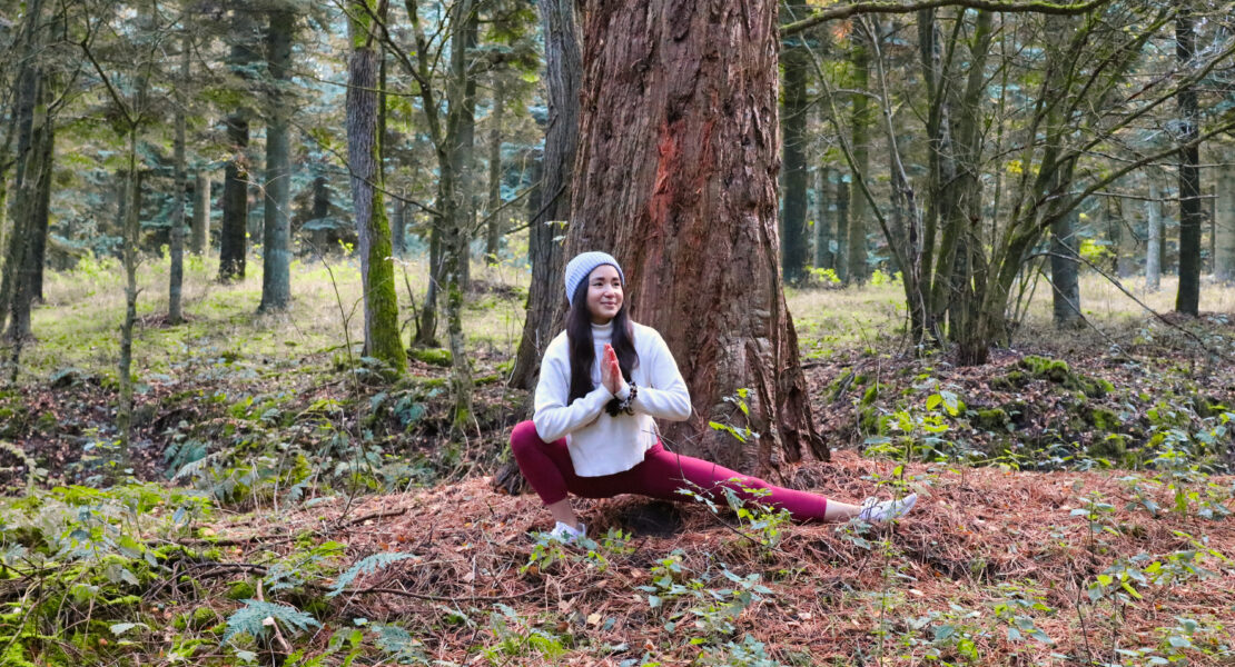 Einsteigerkurs Yoga in Heide